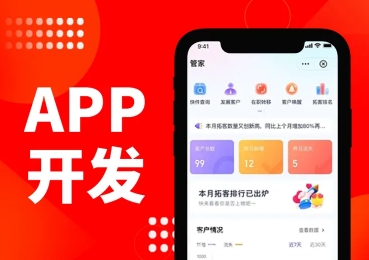 专注开发APP 网站建设 专注开发APP 网站建设