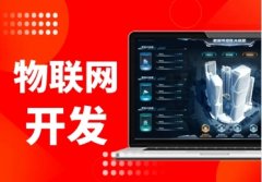 专注开发APP 网站建设