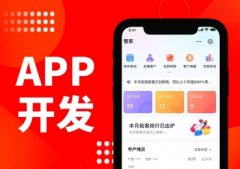 专注开发APP 网站建设