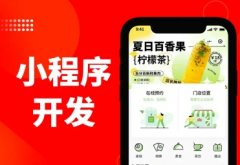 专注开发APP 网站建设